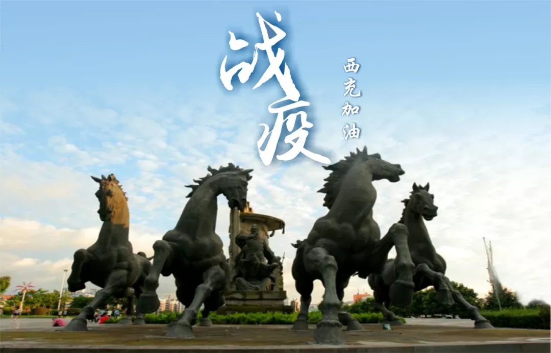 最可爱的人 | 战“疫”中的西充医卫人